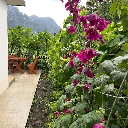 Thethi Mountain Gasthof Theth