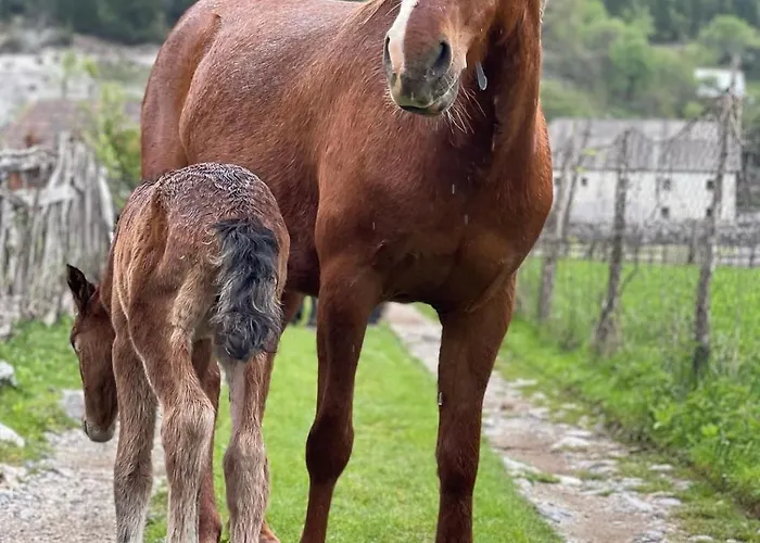 Thethi Mountain * Theth