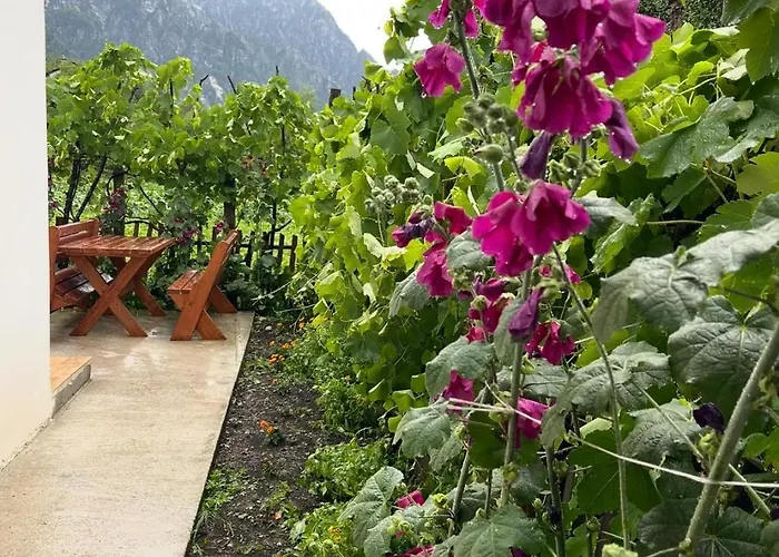 Thethi Mountain Gasthof Theth