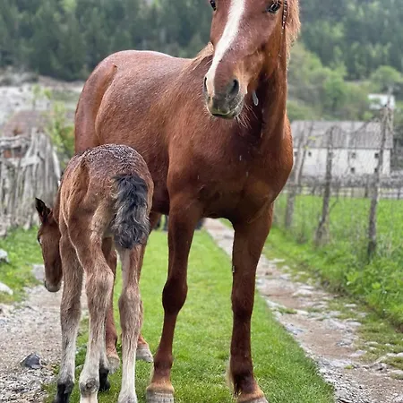 Thethi Mountain * Theth